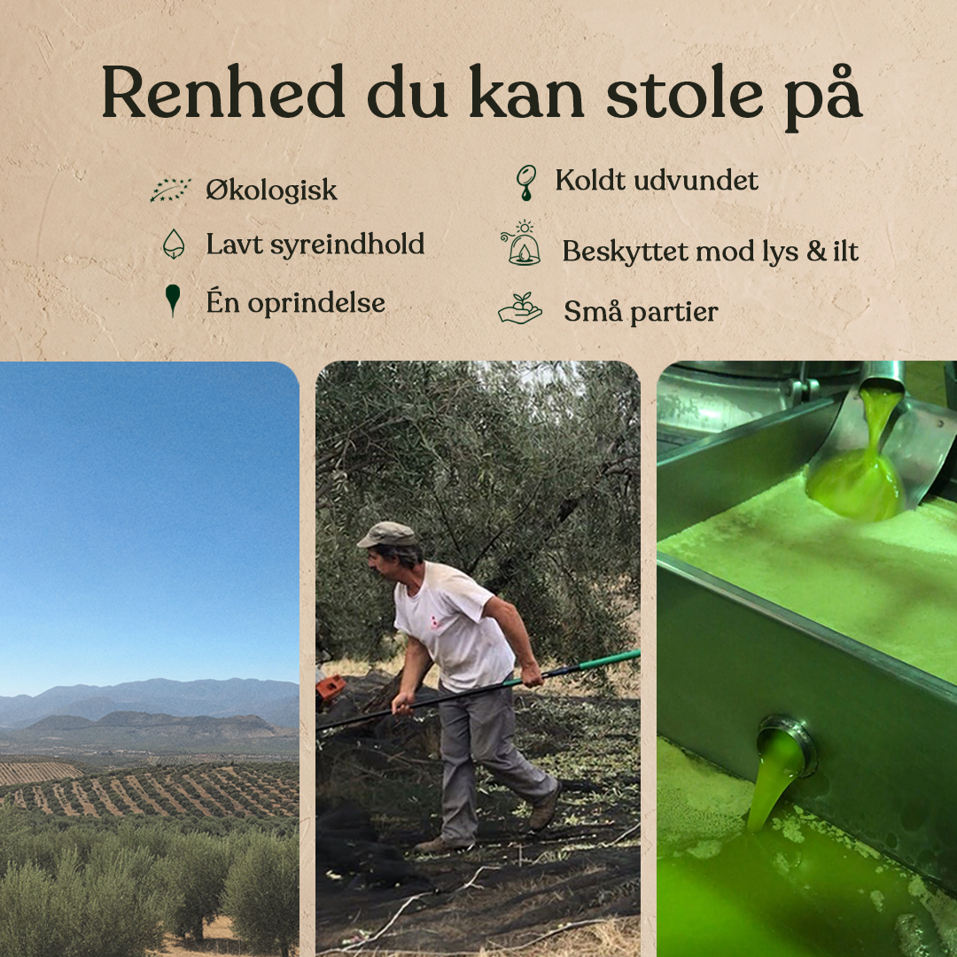 Øliva 3L Økologisk EVOO
